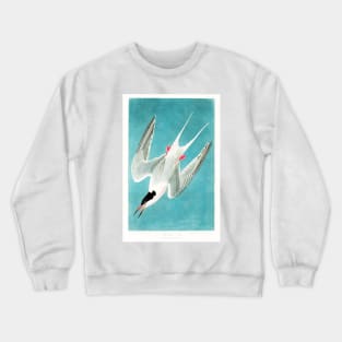 Roseate Tern from Birds of America (1827) Crewneck Sweatshirt